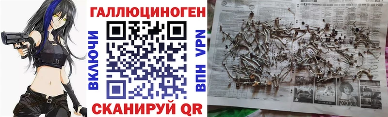 Псилоцибиновые грибы мицелий  наркота  Черепаново 